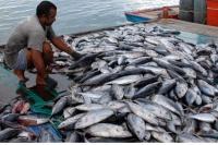 Uni Eropa Jajaki Peluang Investasi dan Bisnis di Maluku dengan Kerangka CEPA