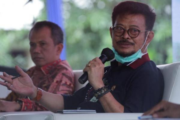Syahrul: Food Estate Bentuk Komitmen Pemerintah Tingkatkan Ketahanan Pangan