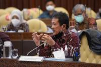 Menteri KKP Dorong Pengembangan Budidaya Lobster Dalam Negeri