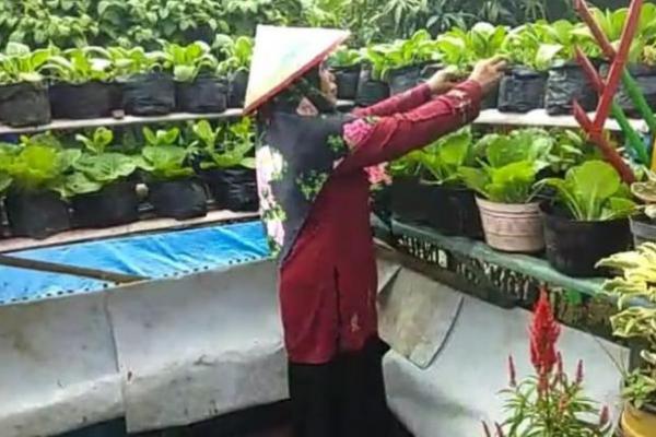 Pengamat Pangan Dorong Masyarakat Terapkan Program Rumah Pangan Lestari