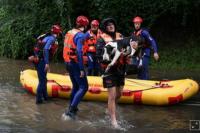 Akibat Hujan Deras, Australia Dipicu Banjir Terburuk dalam Setengah Abad Terakhir