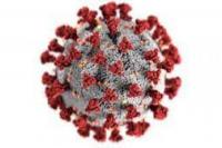 Ilustrasi Virus Covid-19 (Photo created by wirestock via Freepik)