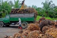 Kemenhub Canangkan Indonesia Bebas Kendaraan ODOL