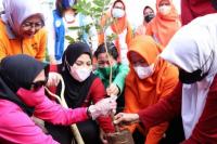 Gerakan Perempuan Menanam Pohon, Libatkan Berbagai Organisasi Wanita Se-Kaltara