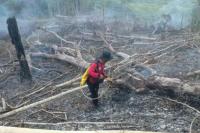 BMKG Deteksi Delapan Titik Panas di Kalimantan Timur